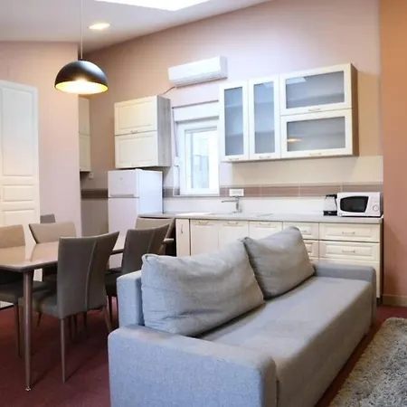 Center Nusiceva Apartment *