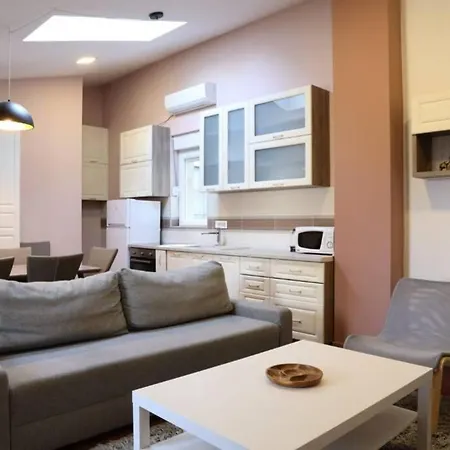 Center Nusiceva *