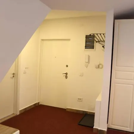 Center Nusiceva Apartment